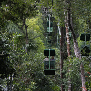 Teleférico con Exhibiciones Ecológicas